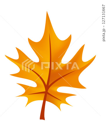 A Vibrant Autumn Maple Leaf Displaying a Bright, Striking Orange Color in Natures Beauty A Vibrant Autumn Maple Leaf Displaying a Bright, Striking Orange Color in Natures Beauty 127131667