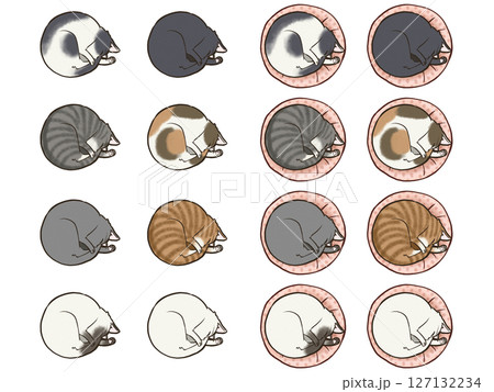 丸くなって眠る猫セット 127132234