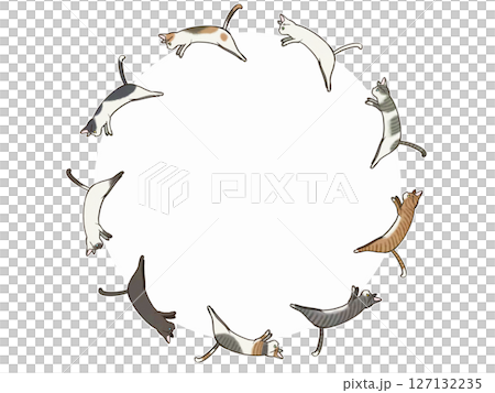 Set of short-haired cats jumping in a circle Set of short-haired cats jumping in a circle 127132235