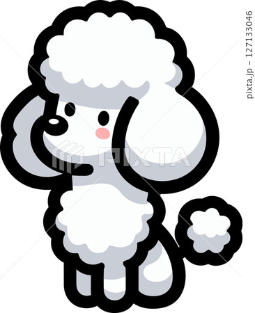 かわいい白いプードルのイラスト 127133046