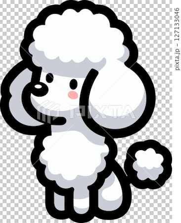 かわいい白いプードルのイラスト 127133046