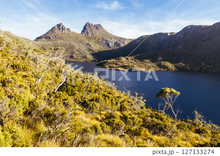 Cradle Mountain in Tasmania Australia 127133274