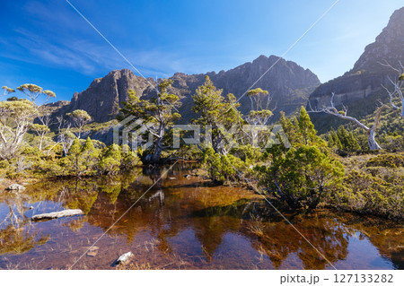 Artist's Pool in Tasmania Australia 127133282