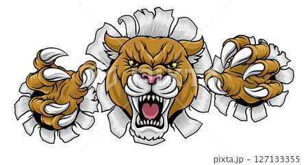 Cougar Panther Mountain Lion Puma Sports Mascot 127133355