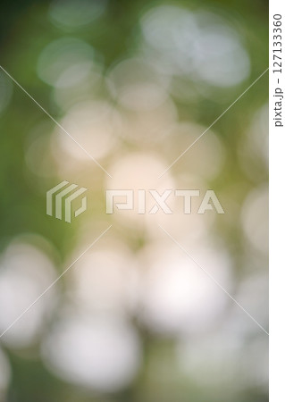 bokeh blur background light through trees bokeh effect 127133360