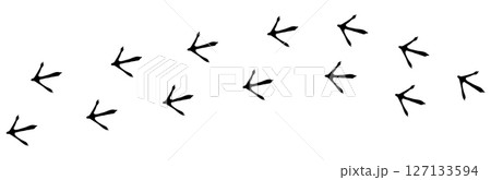 Bird footprint chicken foot track, feet print, paw step hand drawn doodle. Sketch simple turkey, hen trail. Crow walk steps mark. Bird footprint chicken foot track, feet print, paw step hand drawn doodle. Sketch simple turkey, hen trail. Crow walk steps mark. 127133594