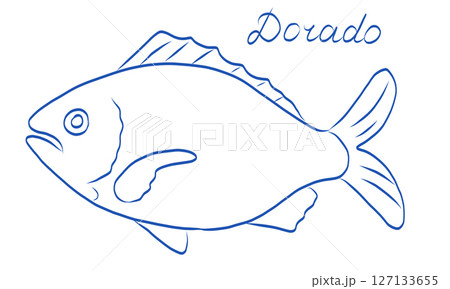 An Exquisite Dorado Fish Illustration A Stunning Aquatic Culinary Delicacy to Admire An Exquisite Dorado Fish Illustration A Stunning Aquatic Culinary Delicacy to Admire 127133655