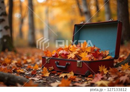 Vintage suitcase filled with autumn leaves in a forest. 127133812