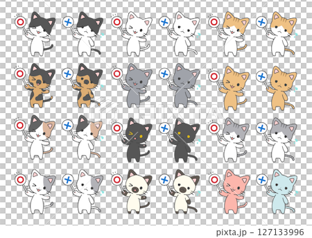 〇×クイズ猫セット 127133996