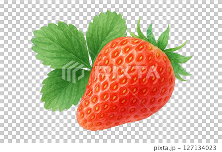 Strawberry watercolor illustration white background Strawberry watercolor illustration white background 127134023
