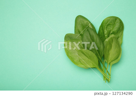 Bunch of fresh green spinach leaves on mint background. Space for text 127134290