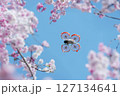 桜を撮影する小型ドローン 127134641