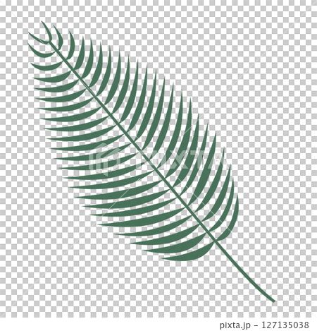 Simple palm leaf illustration 127135038