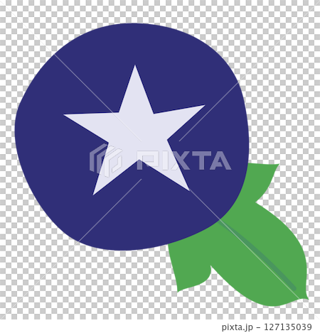 シンプルな朝顔のイラスト 127135039