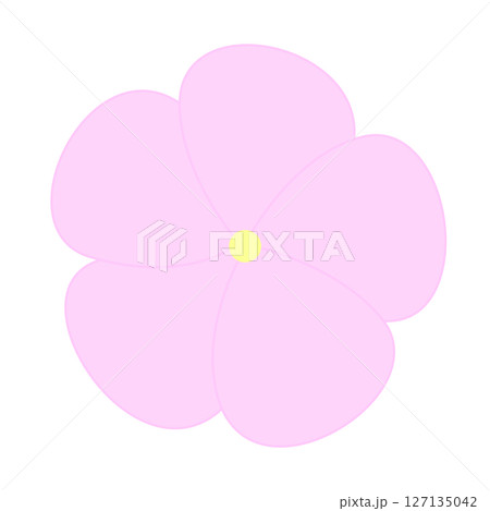 シンプルなニチニチソウのイラスト 127135042