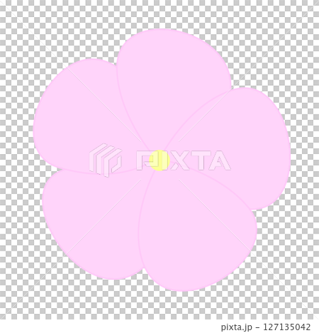 シンプルなニチニチソウのイラスト 127135042