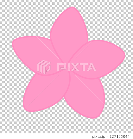 シンプルなプルメリアのイラスト 127135044