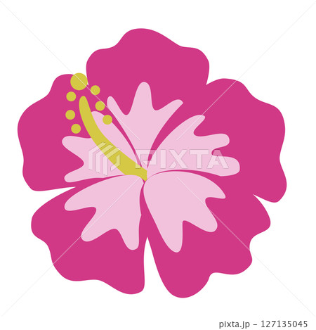 シンプルなハイビスカスのイラスト 127135045