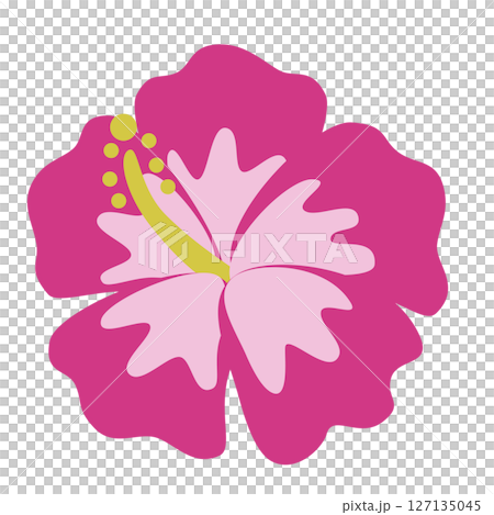 簡單的芙蓉圖 127135045