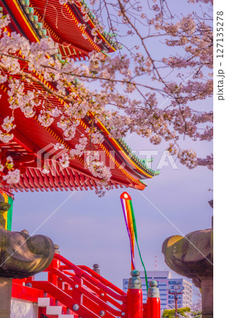 桜の枝と孝道山寺院 127135278