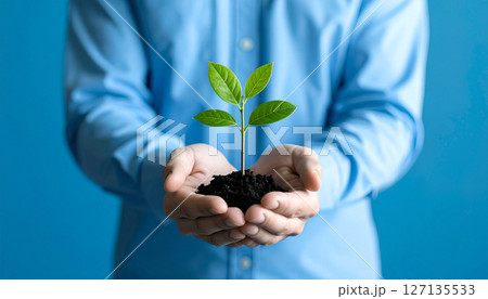 Green plant sustainable growth in hands symbolizes procurement and supply chain care for environment 127135533