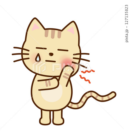歯が痛くて顔をしかめるかわいいねこのイラスト 歯が痛くて顔をしかめるかわいいねこのイラスト 127135823
