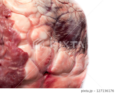 Beef heart background and texture. 127136176