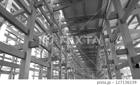 2025 大阪・関西万博　大屋根リング 127136239