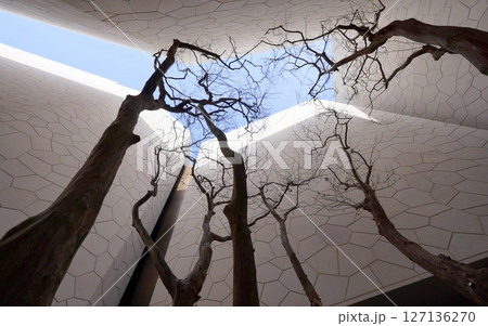 2025 大阪・関西万博　サウジアラビアパビリオン 127136270