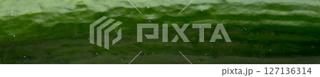 Cucumber background and texture. Cucumber background and texture. 127136314