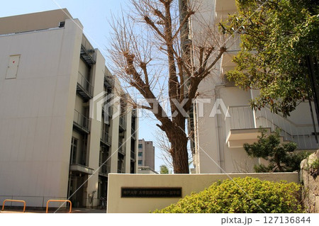 神戸大学医学部 127136844