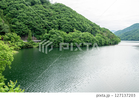 群馬県みどり市・新緑輝く草木ダムと湖の絶景 群馬県みどり市・新緑輝く草木ダムと湖の絶景 127137203