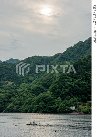 群馬県みどり市・新緑の草木湖と曇り空の風景 群馬県みどり市・新緑の草木湖と曇り空の風景 127137205