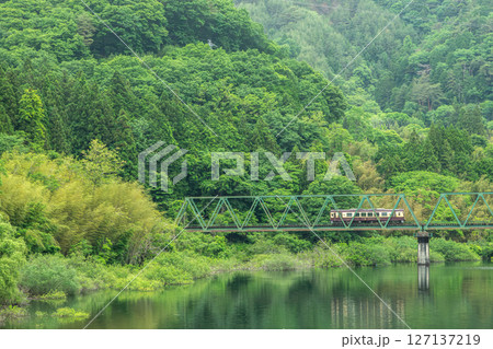 新緑の山間を走るわたらせ渓谷鉄道と鉄橋(群馬県みどり市) 新緑の山間を走るわたらせ渓谷鉄道と鉄橋(群馬県みどり市) 127137219