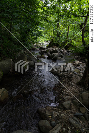 small river in the forest between the stones, Georgia 127137316