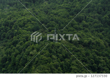 A lonely power line pole in the mountains in the forest, minimalism. Georgia 127137330