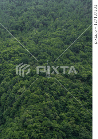 lonely power line pole in the mountains in the forest, minimalism. Georgia 127137331