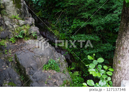 A crevice in the mountains in a forest in Georgia 127137346