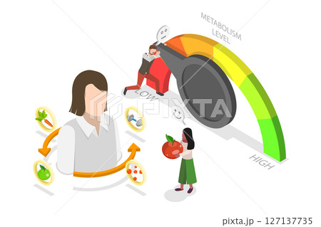 3D Isometric Flat  Illustration of Human Organism Metabolism Level, Food Consumption Speed 127137735