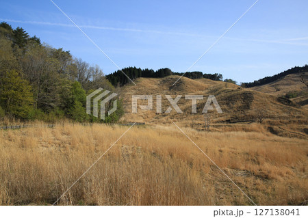 兵庫県神河町　砥峰高原の風景 127138041