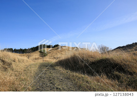 兵庫県神河町 砥峰高原の風景 兵庫県神河町 砥峰高原の風景 127138043