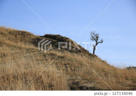 兵庫県神河町　砥峰高原の風景 127138046