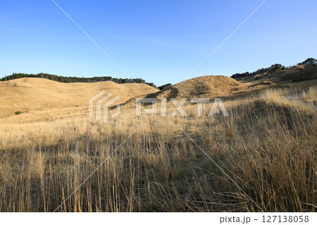 兵庫県神河町 砥峰高原の風景 兵庫県神河町 砥峰高原の風景 127138058