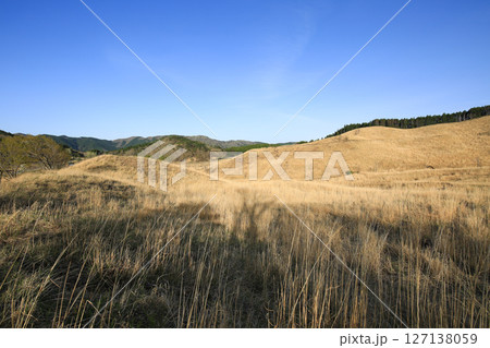 兵庫県神河町　砥峰高原の風景 127138059