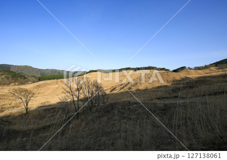 兵庫県神河町 砥峰高原の風景 兵庫県神河町 砥峰高原の風景 127138061