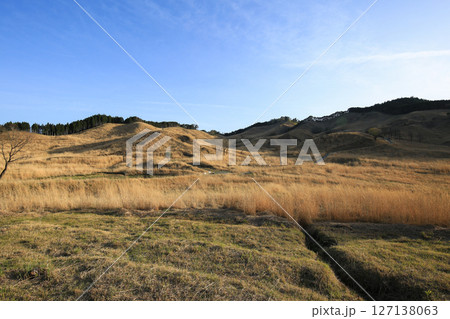 兵庫県神河町　砥峰高原の風景 127138063