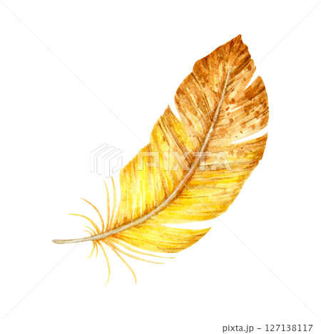 Watercolor illustration of a single yellow-brown feather with soft texture and curved shape. Suitable for boho-themed designs, natural compositions, and seasonal decorations. Watercolor illustration of a single yellow-brown feather with soft texture and curved shape. Suitable for boho-themed designs, natural compositions, and seasonal decorations. 127138117