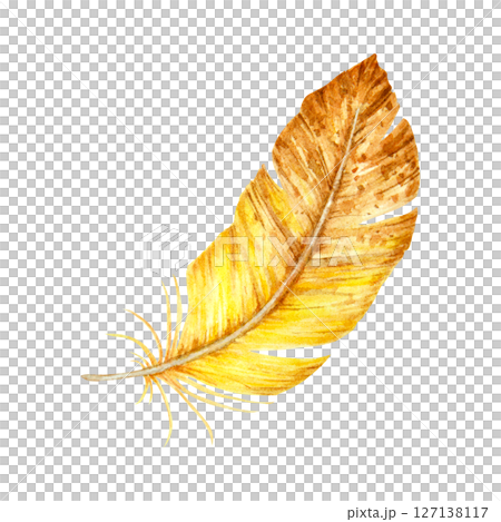 Watercolor illustration of a single yellow-brown feather with soft texture and curved shape. Suitable for boho-themed designs, natural compositions, and seasonal decorations. Watercolor illustration of a single yellow-brown feather with soft texture and curved shape. Suitable for boho-themed designs, natural compositions, and seasonal decorations. 127138117