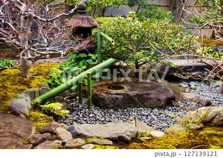 京都府　東寺 観智院・楓泉観の露地庭 獅子脅し　京都市 南区 九条町　2022年2月 127139121