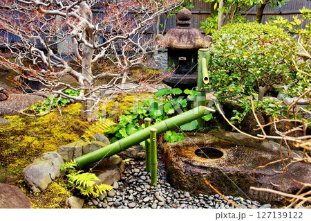 京都府　東寺 観智院・楓泉観の露地庭 獅子脅し　京都市 南区 九条町　2022年2月 127139122